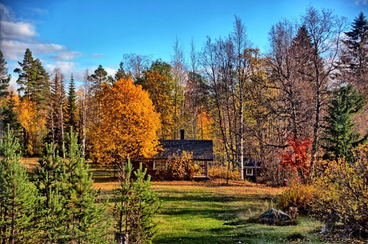 B&B Gillhov&Camping Svenstavik Exterior foto